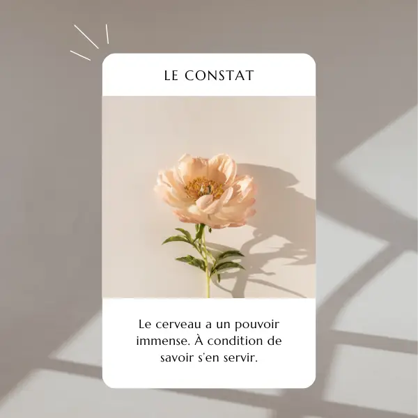 constat